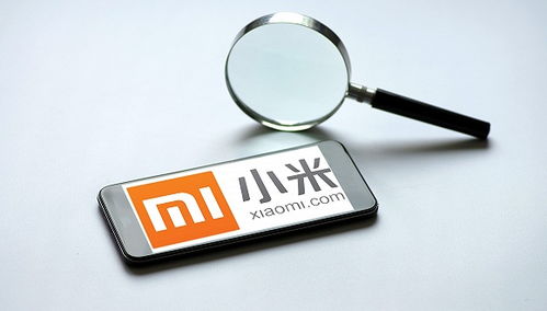 小米强化隐私保护与信息安全 第一优先级下的互联网信息服务新战略